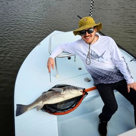 Sight Fishing For Redfish - Fly Or Spin