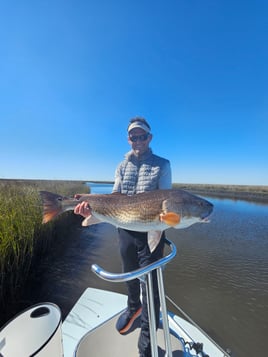 Sight Fishing For Redfish - Fly Or Spin