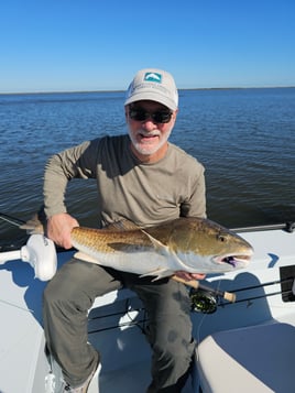 Sight Fishing For Redfish - Fly Or Spin