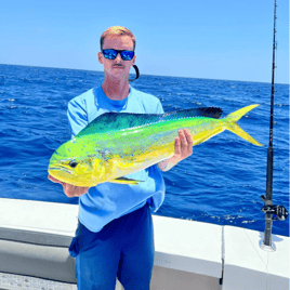 Mahi Mahi Fishing in Port Aransas, Texas