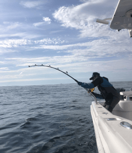 Inshore Trip- Buzzards Bay and Vineyard Sound