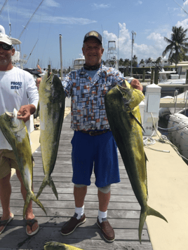 Mahi Mahi Fishing in Miami, Florida