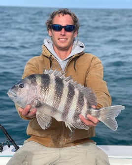 Sheepshead Fishing in Mount Pleasant, South Carolina