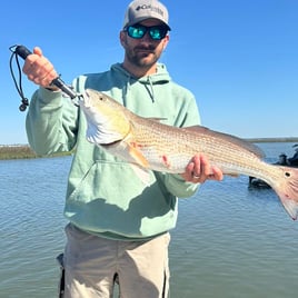 Redfish Fishing in Mount Pleasant, South Carolina