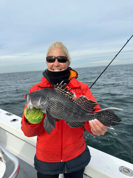 Black Seabass Fishing in Ronkonkoma, New York