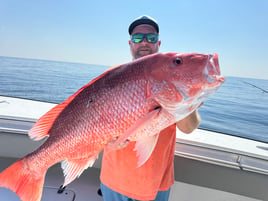 Red Snapper Fishing in Orange Beach, Alabama