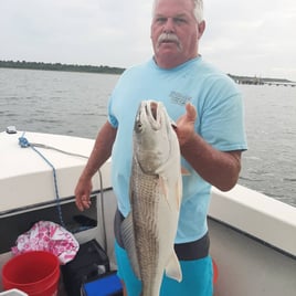 Shallow Water Flats Fishing