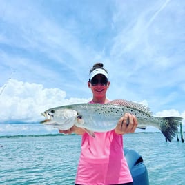 Shallow Water Flats Fishing