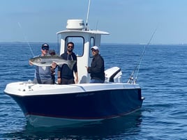 Trophy Striped Bass - Inshore Fishing Charter