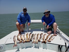 Full Day or Half Day Fishing Trip