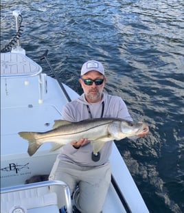 Snook Fishing in Pine Island Center, Florida