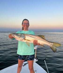 Snook Fishing in Pine Island Center, Florida