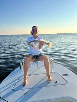 Redfish Fishing in Pine Island Center, Florida