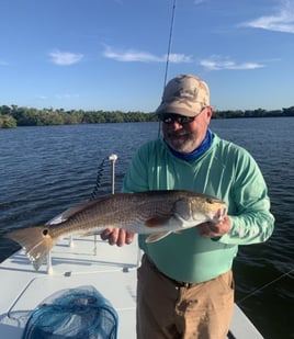 Redfish Fishing in Pine Island Center, Florida