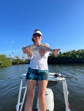 Redfish Fishing in Pine Island Center, Florida