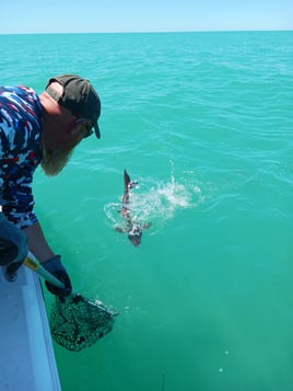 Private 6 hour fishing trip around prestige Anna Maria Sound