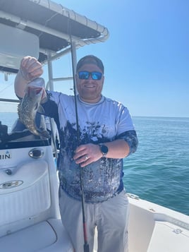 Private 6 hour fishing trip around prestige Anna Maria Sound