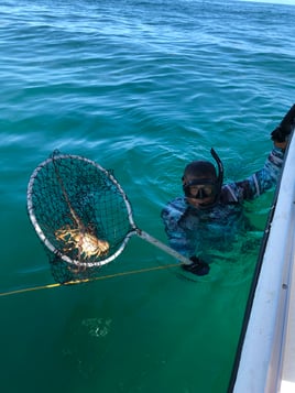 Lobster Fishing in Key West, Florida