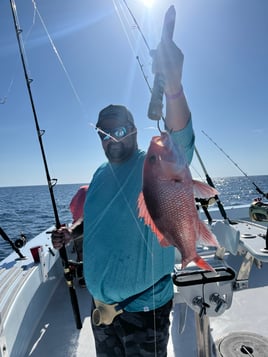 Red Snapper Fishing in Destin, Florida