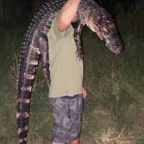 Notch Your Tag Public Land Alligator Hunt