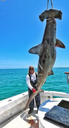 Miami Nearshore/Offshore Sportfishing