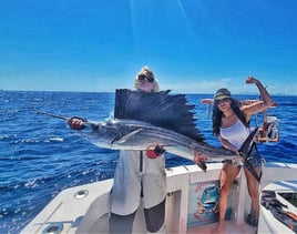 Miami Nearshore/Offshore Sportfishing