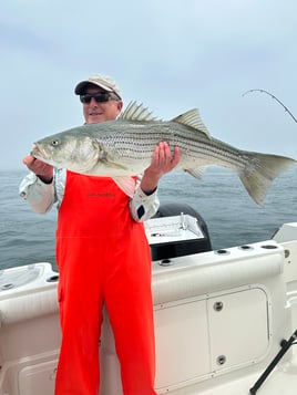 Half day fishing charter