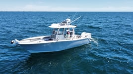 4-Hour Offshore Fishing