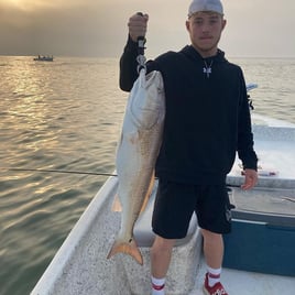 Galveston Bay Trophy Hunters