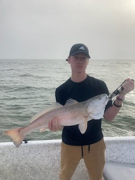 Galveston Bay Trophy Hunters