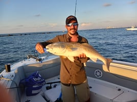 Breakwater 4 Hr Fishing Trip