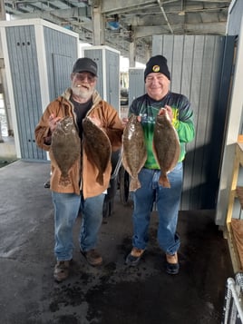 Breakwater 4 Hr Fishing Trip