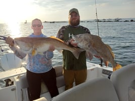 Breakwater 4 Hr Fishing Trip