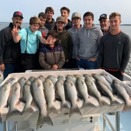 Chesapeake Bay Rockfish Trip