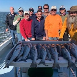 Chesapeake Bay Rockfish Trip