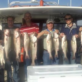 Chesapeake Bay Rockfish Trip