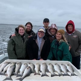 Chesapeake Bay Rockfish Trip