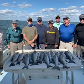 Chesapeake Bay Rockfish Trip