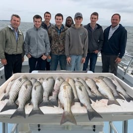 Chesapeake Bay Rockfish Trip