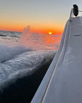 Charleston, SC Offshore Adventures - Full and Half Day