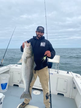 Evening/ Night Striped Bass