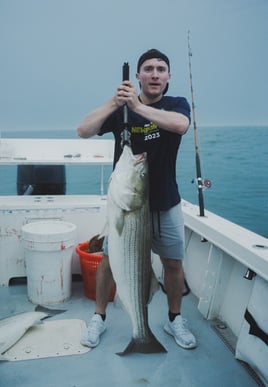 Evening/ Night Striped Bass