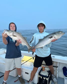 Evening/ Night Striped Bass