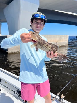 Gag Grouper Fishing in Panama City Beach, Florida