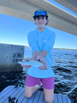 Spanish Mackerel Fishing in Panama City Beach, Florida