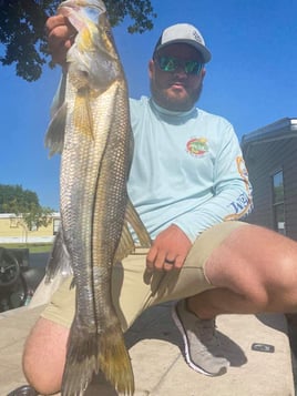 Caloosahatchee River Snook fest!