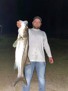 Caloosahatchee River Snook fest!