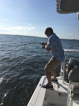 Shark Fishing with Captain Justin