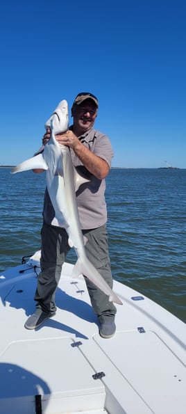 Shark Fishing with Captain Justin