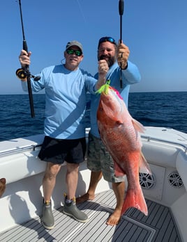 Afternoon Snapper Slam